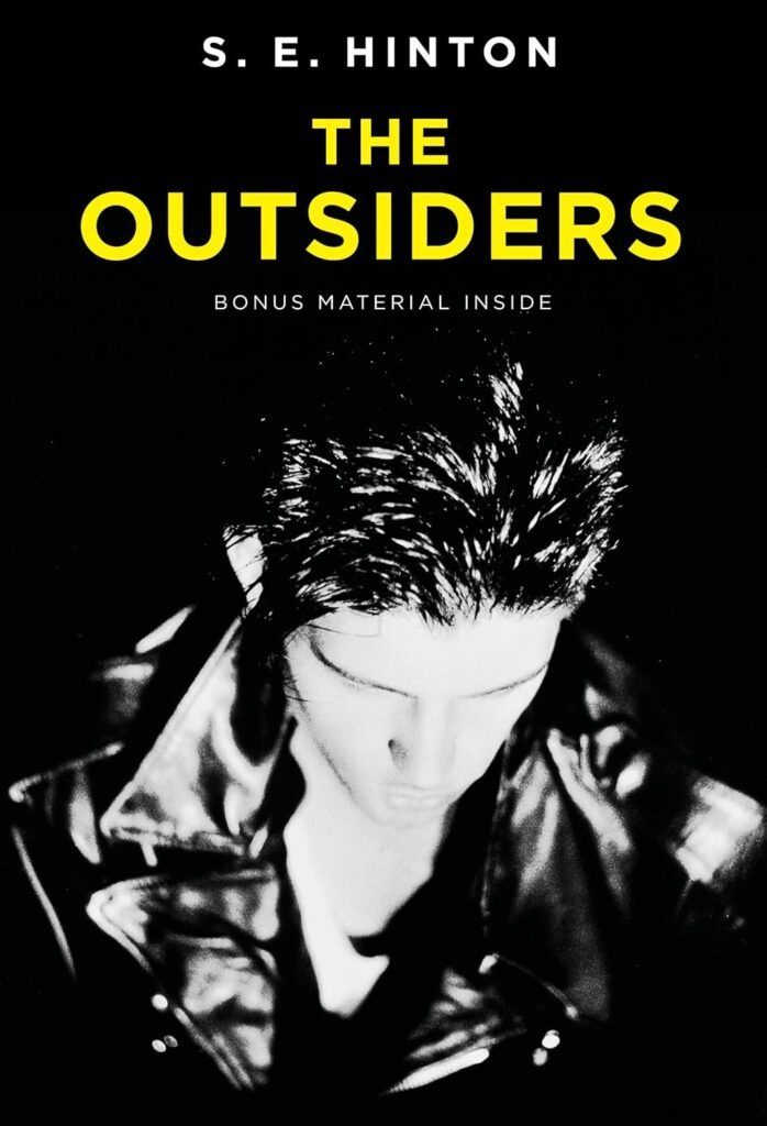 Book cover of The Outsiders